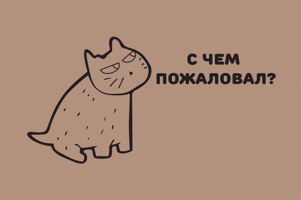 Грязезащита Коврик на ПВХ основе "С чем пожаловал" 60х90 см									